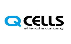 q cells